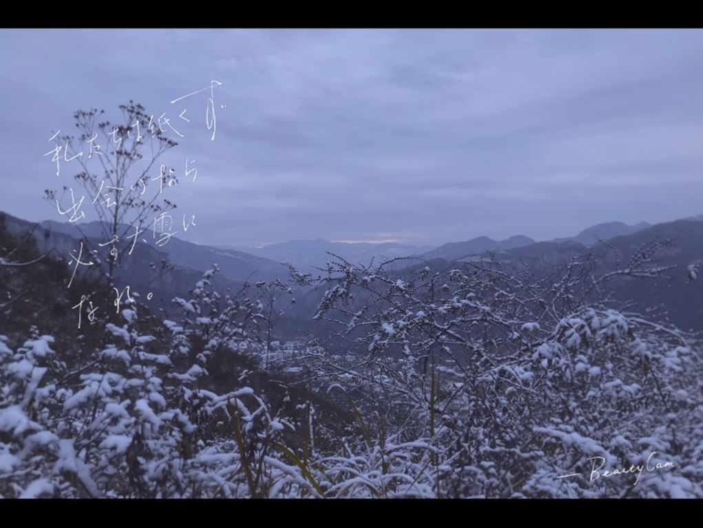 虫虫助手下载